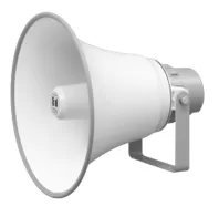 Audio Announcement Ads