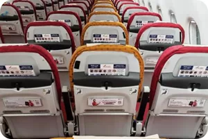 Seatback Devices in Flight