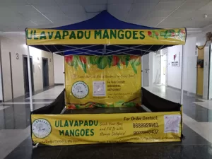 Gazebo Tents